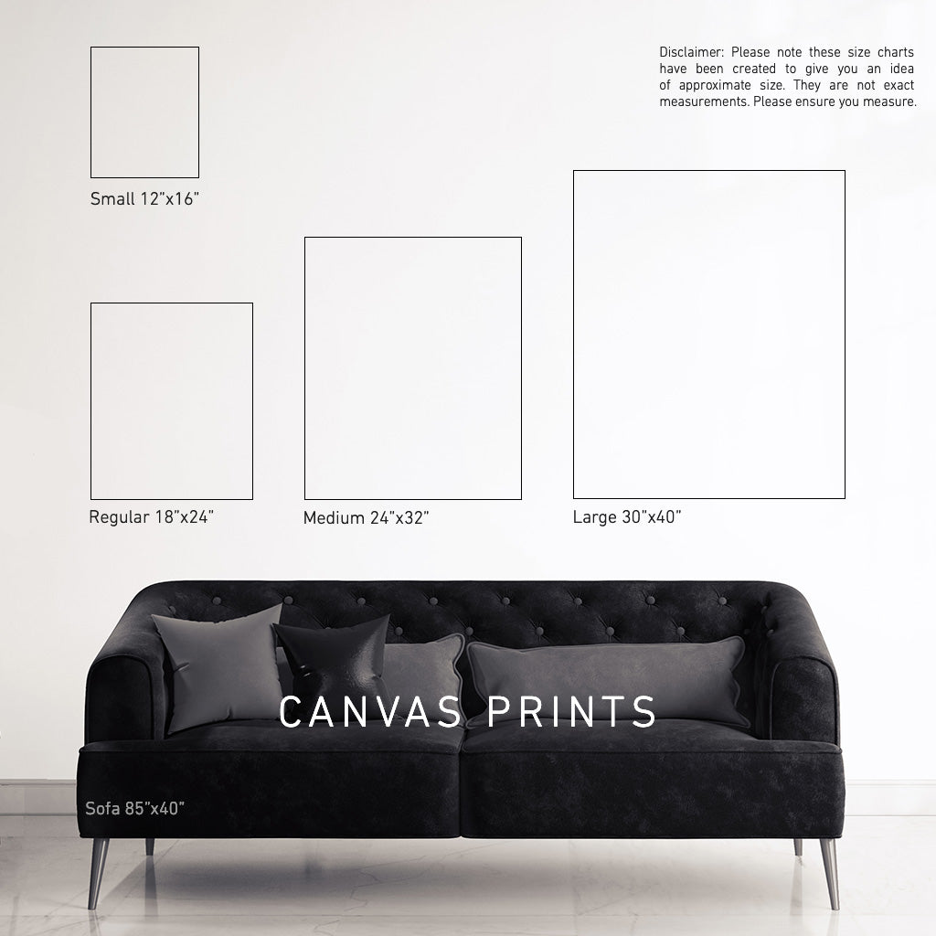 REFLECTIONS | Perspex