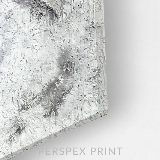 MOONLIGHT | Perspex