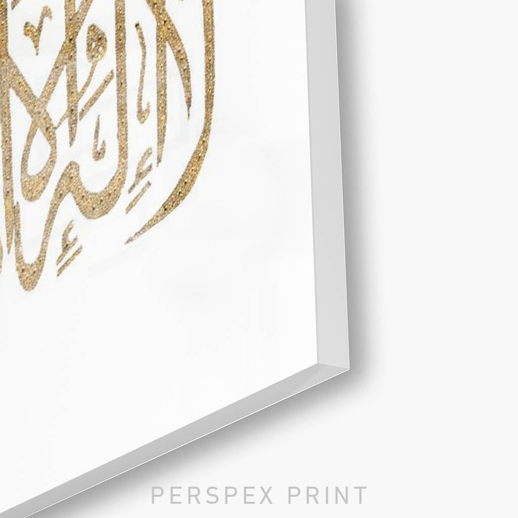 TESTIMONY | (VARIOUS COLOURS) Perspex